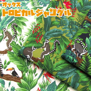 IbNX gsJWO(P50cm)toropical/M/ILclU/JI^IInV/][g/T}[/vg/n/z//Rbg