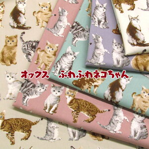IbNX ӂӂlR(P50cm)L/˂/lR/Lbg/CAT/ɂ/OєL/AJV[gwA[/xK/vg/n//Rbg