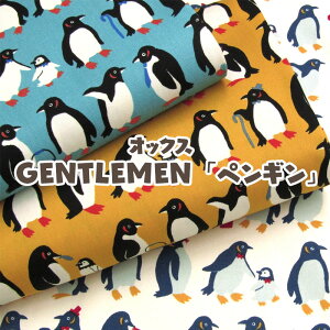 IbNX@GENTLEMENuyMv(P50cm)WFg/؂񂬂/penguin//Aj}/k/C/z/n//Rbg/vg
