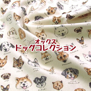 IbNX hbORNV(P50cm)Dog Collection/Ȃ̐}/Ck//IIJ~/^kL/Lcl/R/vg/n/z//Rbg
