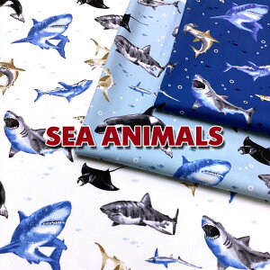 IbNX@SEA ANIMALS(P50cm)T/L//IJ/GC/C̐/C/z/n//Rbg/vg