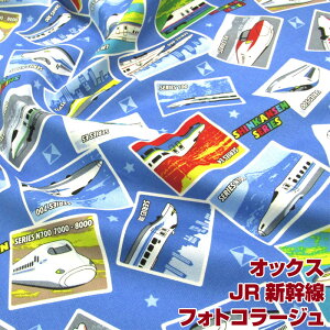 IbNX@JRVtHgR[W(P50cm)d/񂩂񂹂/WFCA[/hN^[CG[/N700n/̂/Ђ//w/ʉʊw/XN[ObY/n//Rbg