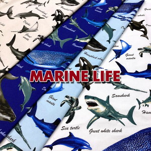 IbNX@MARINE LIFE(P50cm)T/L/V[N/}^//IJ/CJ/݂///FISH/C̐/C/z/n//Rbg/vg