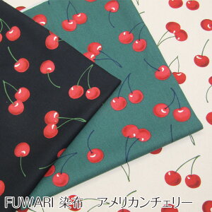 FUWARI@z@IbNX AJ`F[(P50cm)/t[c/ʎ/vg/n//Rbg