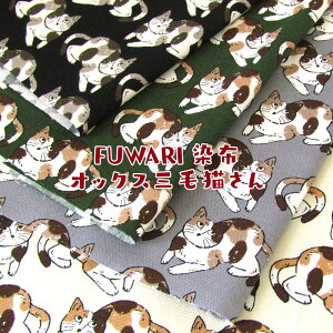 FUWARI@z@IbNX OєL(P50cm)L/˂/lR/Lbg/CAT/vg/n//Rbg