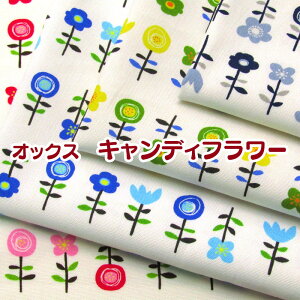 IbNX LfBt[(P50cm)tulip//͂/ni/t[/flower/k/vg/n//Rbg