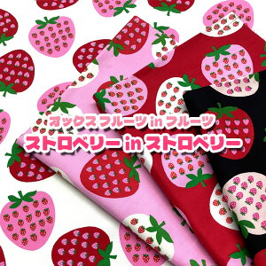 IbNX t[cint[c@Xgx[inXgx[(P50cm)/C`S/Strawberry//ʎ/vg/n/z//Rbg