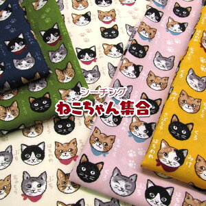 V[`O@lRWiP50cmj˂/lR/L/Lbg/CAT/lR}/vg/Rbg//n/z/nhCh