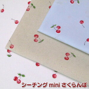 V[`O@V[`OminiځiP50cmjTN{/CHERRY/[/t[c//ʕ//̎q/w/vg//Rbg/n
