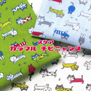 XPA Jt `rjYiP50cmjL/lR/˂/Lbg/CAT/vg/Rbg//n/z