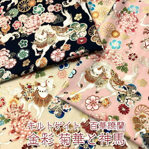 LgQCg@S㇗  e؂Ɛ_niP50cmjn/z/Rbg//vg/n/E}//Aj}/a/a/ԕ/͂/e/x//Ob^[