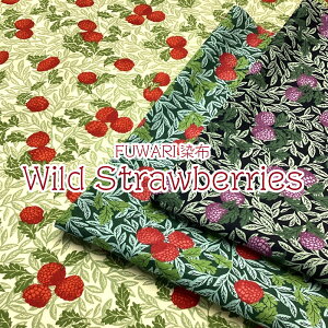 V[`O@FUWARIz Wild StrawberriesiP50cmj삢/C`S//ChXgx[/vg/Rbg//n/z