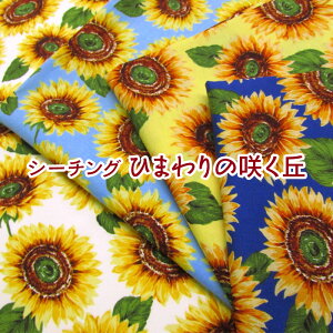 V[`O@Ђ܂̍炭uiP50cmj/Tt[//vg//Rbg/n/z