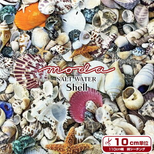 moda FABRICS�@SALT WATER�@Shell�i�P��10cm�j�L�k/�J�C�K��/�V�F��/�C��/�}����/�q�g�f/�r�[�`/���l/��/Cathe Holden/�f�W�^���V�[�`���O�v�����g/�R�b�g��/��/���n/�z�n/�v�����g