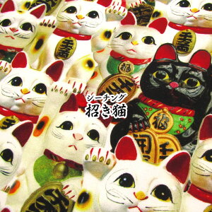 V[`O@LiP50cmj܂˂˂/L/lR//N/J^/bL[/{/JAPAN/fW^vg/Rbg//n/z/vg