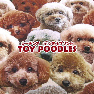 V[`O@fW^vg@TOY POODLESiP50cmjgCv[h//Ck/Dog/R/Aj}//JCC/ybg/Rbg//n/z/vg