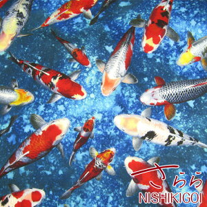 V[`O@fW^vg@SARARA JAPAN NISHIKIGOIiP50cmjRbg//n//ь/