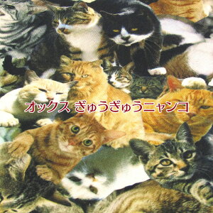 IbNX イイjRiP50cmjCNWFbgvg/fW^vg/Rbg//n/z/vg/L/˂/lR/CAT/Lbg/ɂ/{L/VlR/n`/LWg