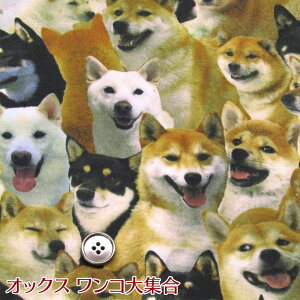 IbNXRWiP50cmjCNWFbgvg/fW^vg/Rbg//n/z/vg///Ck/DOG/hbO//Č/Vo/VoCk