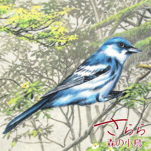 V[`O@fW^vg@JAPANX̏iP50cmjg/쒹/X/q[O//n