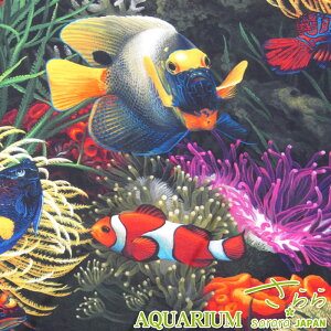 V[`O fW^vg JAPANANAEiP50cmjMы/Aquarium//n