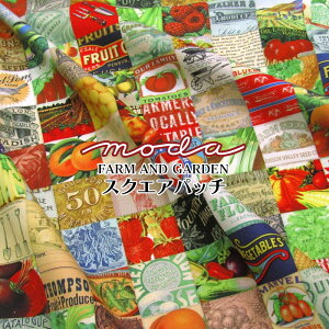 moda FARM AND GARDEN XNGApb`iP50cmjfW^V[`Ovg/Rbg//n/z/vg//TC/ʕ/t[c/K[fjO/g}g/Ƃ낱/IW/