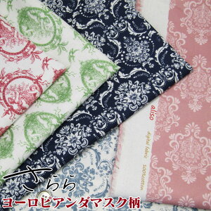 V[`O@fW^vg@SARARA JAPAN [sA_}XNiP50cmjRbg//n