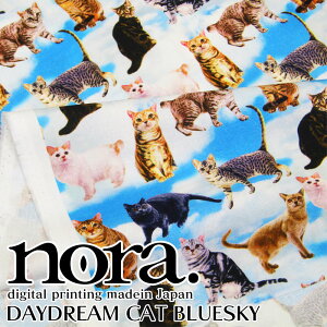 nora. digital printing madein Japan V[`O@fW^vg@DAYDREAM CAT BLUESKYiP50cmjL/˂/lR/Lbg/CAT///m/GX^WI/Rbg//n/vg