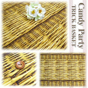 10ԃLoX LfBp[eB[gbNoXPbg(P50cm)/JS//^/obO/n