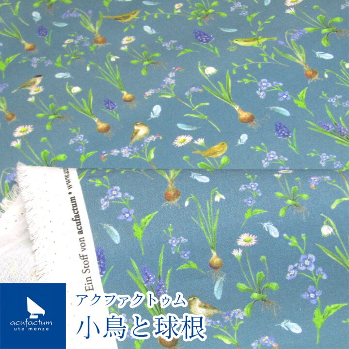 楽天市場】acufactum アクファクトゥム 小鳥と球根(単位10cm 