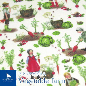 acufactum@ANt@NgD@xW^ut@[(P10cm)ANt@Ng/ANt@N^/n//Rbg/vg/hCc/An/[bp/L/Vegetable farm/ؔ_///_/