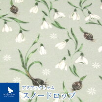 楽天市場】acufactum アクファクトゥムの通販
