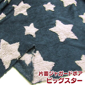 ЖʃWK[h{ArbOX^[(P50cm) /ʂʂ/ӂӂ/{A/WK[h/|GXe/n/z/H~/h//X^[/ق/zV/Star