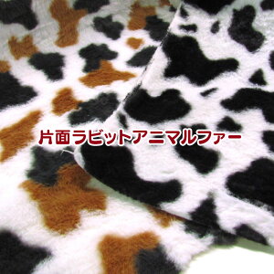ЖʃrbgAj}t@[(P50cm) /ʂʂ/ӂӂ//rbgt@[/{A/LR/ё/Ж/vg/n/z/|/H~//Aj}/lR/˂/L/Lbg/