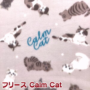t[X Calm CatiP10cmj n/|GXe/vg/~//|J|J/ʂʂ/Ђ|/uPbg//Aj}/lR/L/˂/Lbg/jR