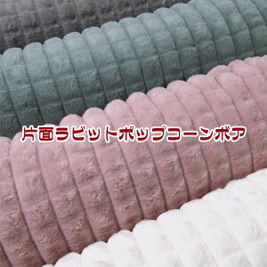 Жʃrbg|bvR[{A(P50cm) /g/ʂʂ/ӂӂ//tt/RR/ۂۂ/|R|R/tFCNt@[//Ƃ/炩/rbgt@[/G