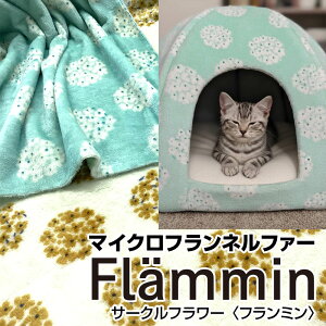 }CNtlt@[@Flammin@t~ T[Nt[(P50cm) /ʂʂ/ӂӂ//{A//vg/n/|/H~/ԕ/͂/
