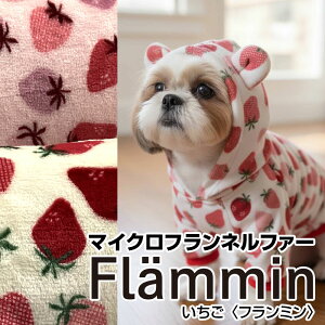 }CNtlt@[@Flammin@t~ (P50cm) /ʂʂ/ӂӂ//{A//vg/n/|/H~/Xgx[/C`S/