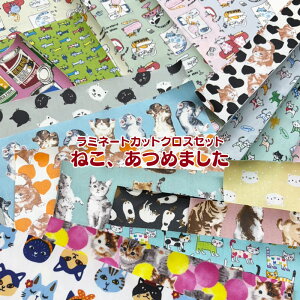 ~l[gJbgNXZbg ˂A߂܂i1Zbgj//n//H/rj[R[eBO/n/lR/˂/L/Lbg