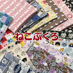 ˂Ԃi1Zbgj˂/lR/L/Lbg/CATS/ɂ////JbgNX/Rbg/n/vg