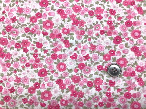 LeBO nML[eBԕ@sN(n108cm90cm)