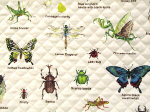 LeBO nM  i`106cm×75cmLg/n/w/j̎q