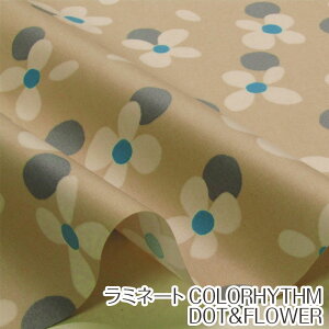 ~l[g COLORHYTHM DOT&FLOWERihbgƉԁjiP10cmj/t[/ԕ/H/rj[R[eBO/rjR/~l[gn
