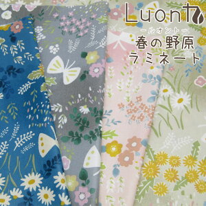 ~l[g Luont-Ig- t̖쌴iP10cmjH/rj[R[eBO/n/