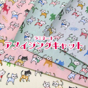 ~l[g ACWOLbgiP10cmjL/˂/lR/Lbg/CAT/Jt/H/rj[R[eBO/n/z