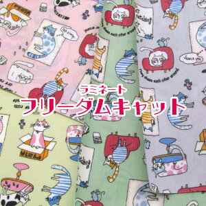 ~l[g t[_LbgiP10cmjL/˂/lR/Lbg/CAT/Jt/H/rj[R[eBO/n/z