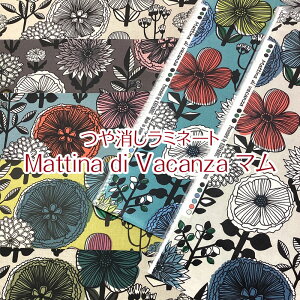 ~l[g Mattina di vacanza }iP10cmjt[//Flower/k/Ȗ/vg/͂/H/rj[R[eBO/n/