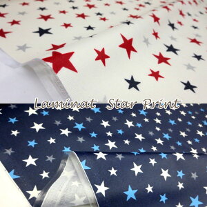 ~l[giP10cmjSTAR/H/rj[R[eBO/rjR/n