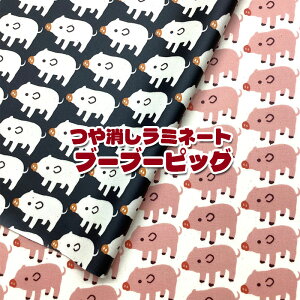 ~l[g u[u[sbOiP10cmju^/Pig///Aj}/k/q/j̎q/̎q/kids/w/nhCh/H/rj[R[eBO/n/z