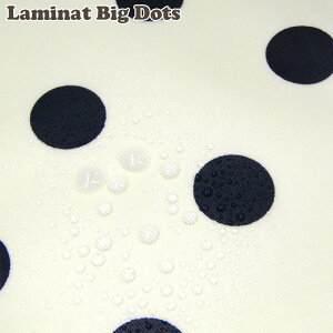 ~l[g傫ȃhbgAC{[n_[NlCr[iP10cmj/H/rj[R[eBO/n